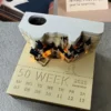 Hogwarts Calendar LED Light Holder with 3D Note - NAYS Pick