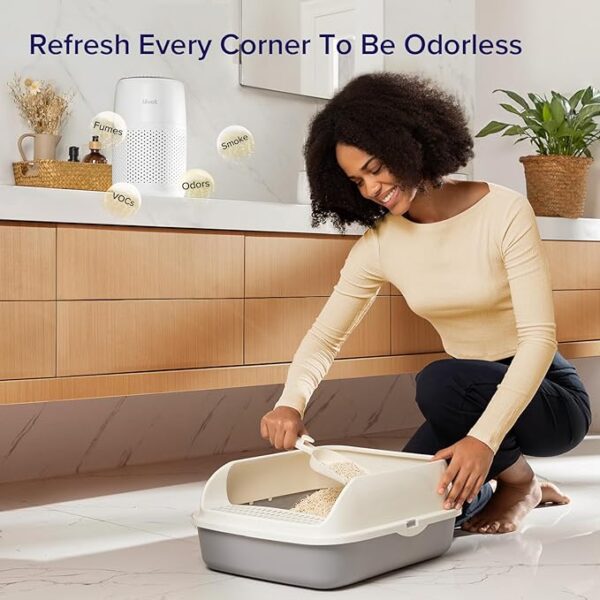 air purifier every corner odorless