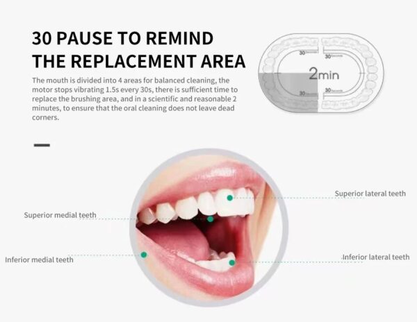 Electric Toothbrush with Multiple Modes - Image 3