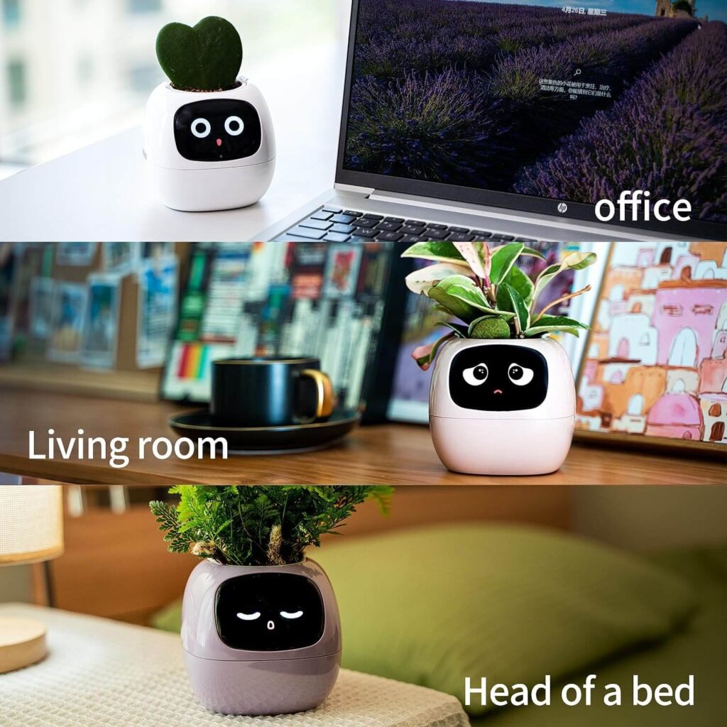 smart planter on table