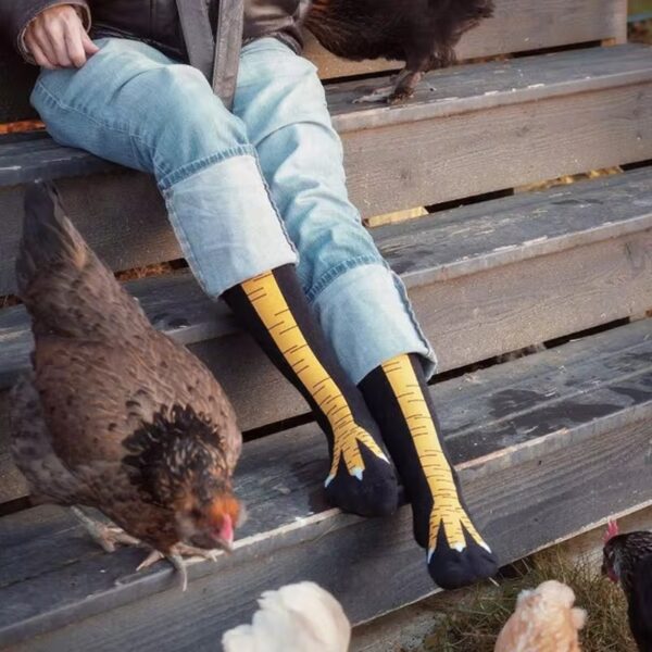 socks with chicks