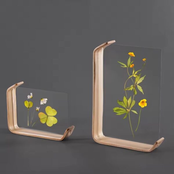 acrylic frame leaves with flowers