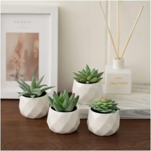 artificial succulent plants 4 on table