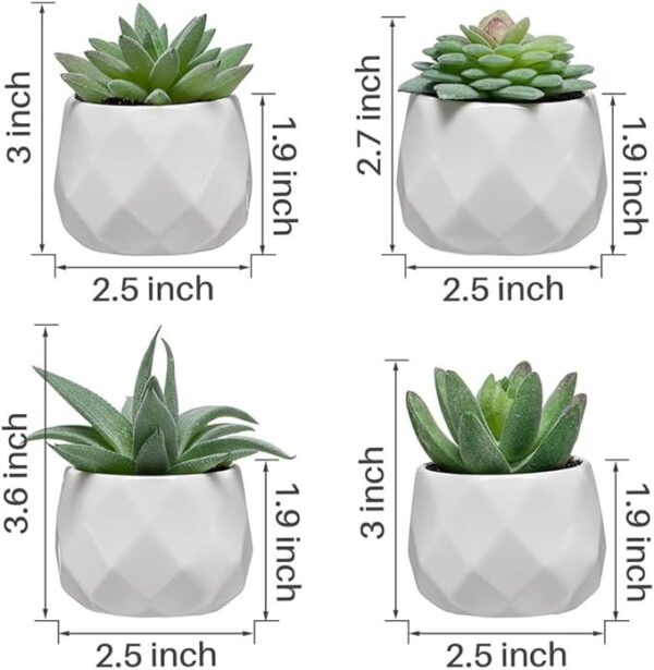 artificial succulent plants size