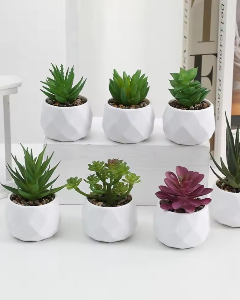 Artificial Succulent Plants with Ceramic Pots NAYS pick