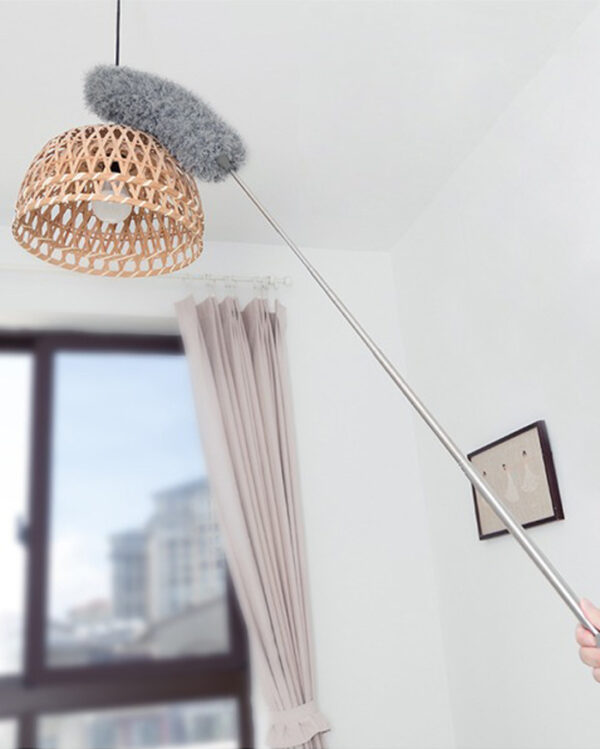 Duster with Extendable Handle for Home Cleaning NAYS pick