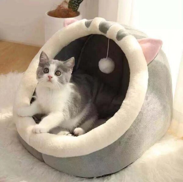 cat bed usage