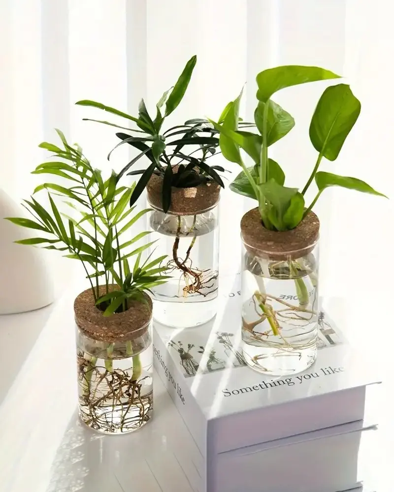 Hydroponic Glass Planter Vase for Desktop Decor NAYS pick